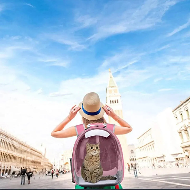 Mochila Transparente para Passeio com Pets