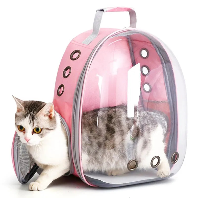 Mochila Transparente para Passeio com Pets